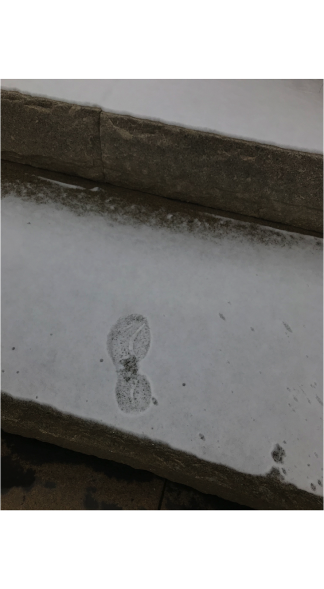 Foot in snow 15 Dec.png